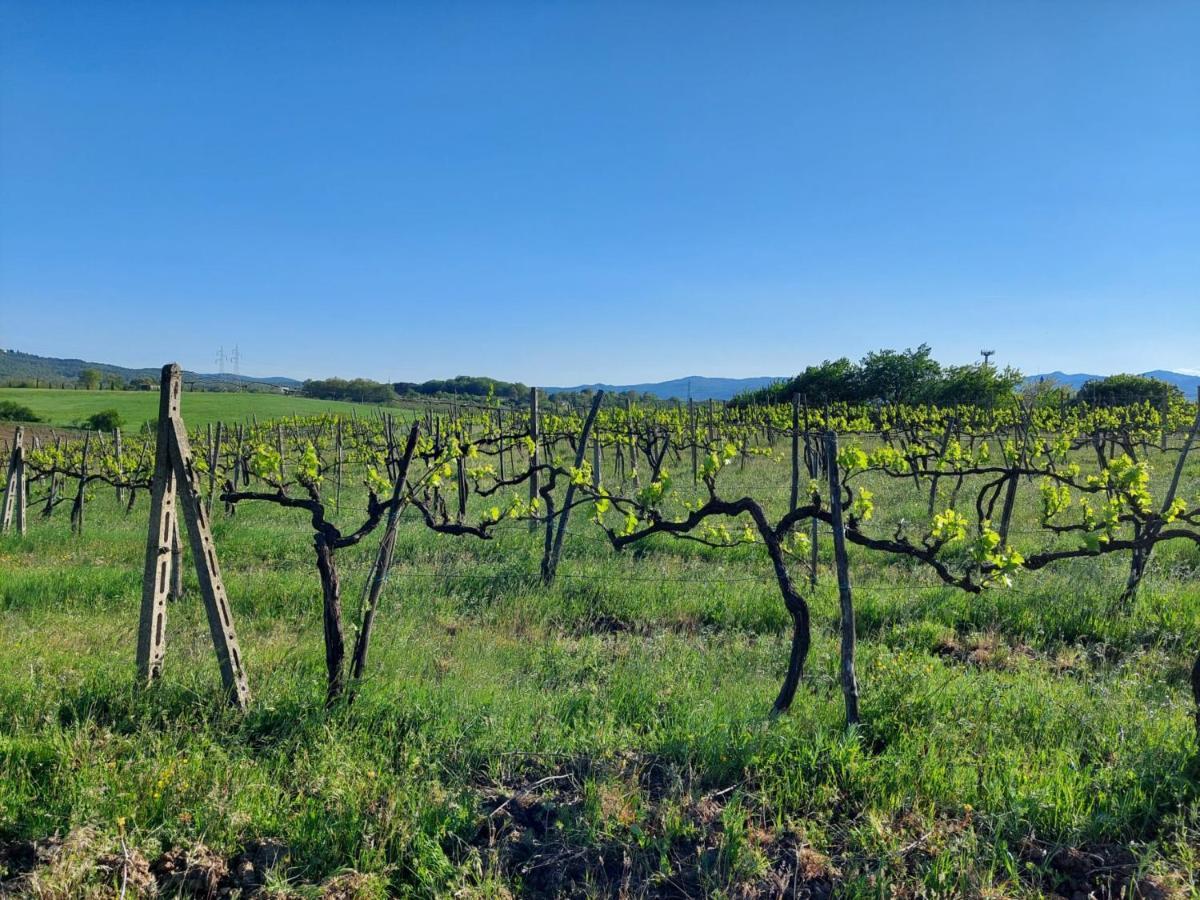 Tenuta I Lecci Terranuova Bracciolini Exteriér fotografie